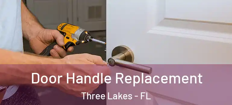  Door Handle Replacement Three Lakes - FL