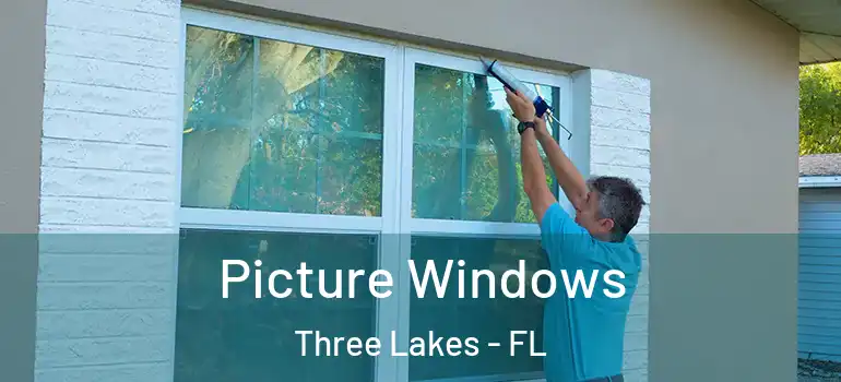  Picture Windows Three Lakes - FL