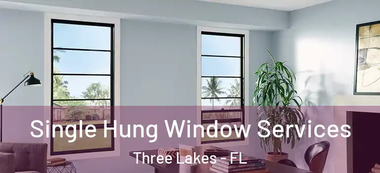  Single Hung Window Services Three Lakes - FL