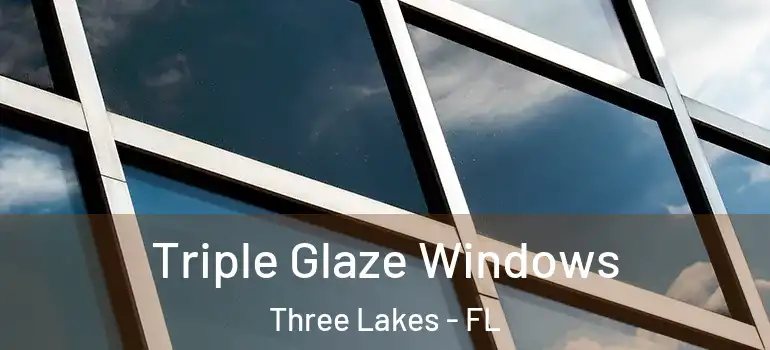  Triple Glaze Windows Three Lakes - FL