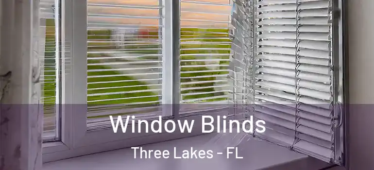  Window Blinds Three Lakes - FL